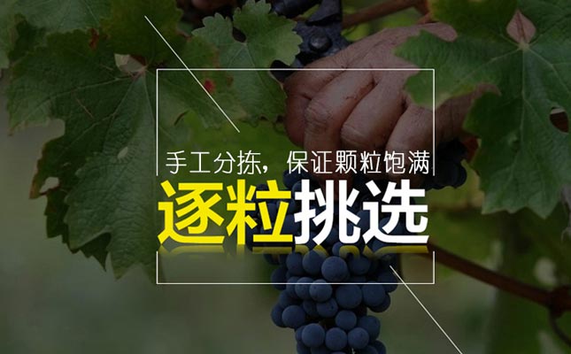 重慶紅酒批發(fā)市場(chǎng) 重慶紅酒批發(fā)市場(chǎng)