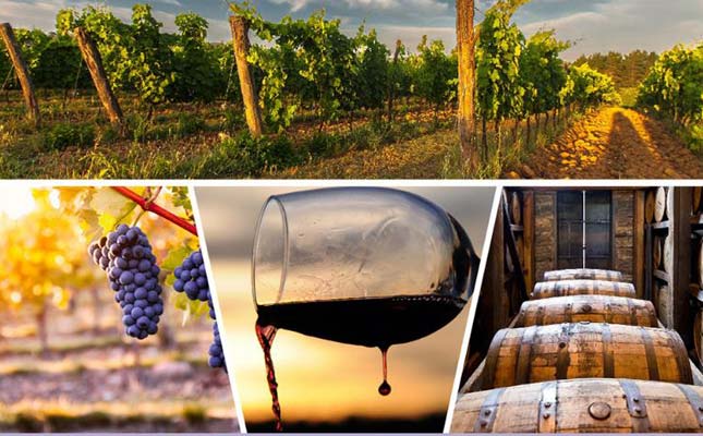 重慶紅酒批發(fā)市場