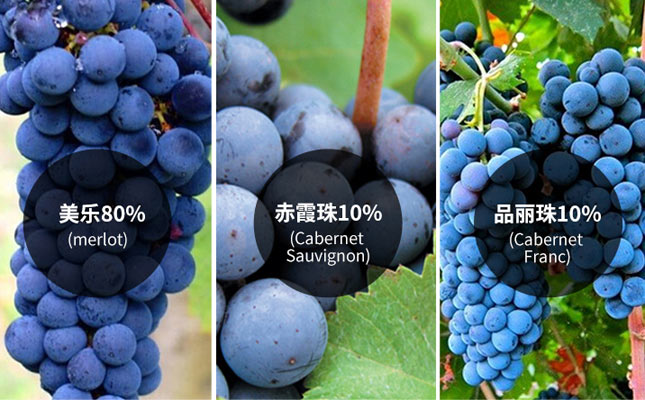 重慶紅酒批發(fā)市場(chǎng) 重慶紅酒批發(fā)市場(chǎng)