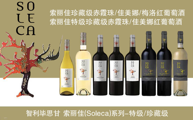 索麗佳梅洛紅葡萄酒 索麗佳梅洛紅葡萄酒