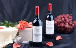 chateau紅酒是什么意思 chateau紅酒怎么樣 進(jìn)口紅酒