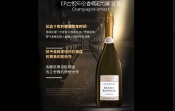 ER古悅年份香檳起泡葡萄酒 法國Champagne ernest
