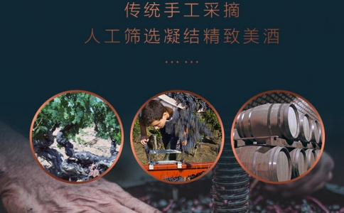 中國最佳葡萄酒旅游產(chǎn)區(qū)-寧夏賀蘭山東麓葡萄酒產(chǎn)區(qū)